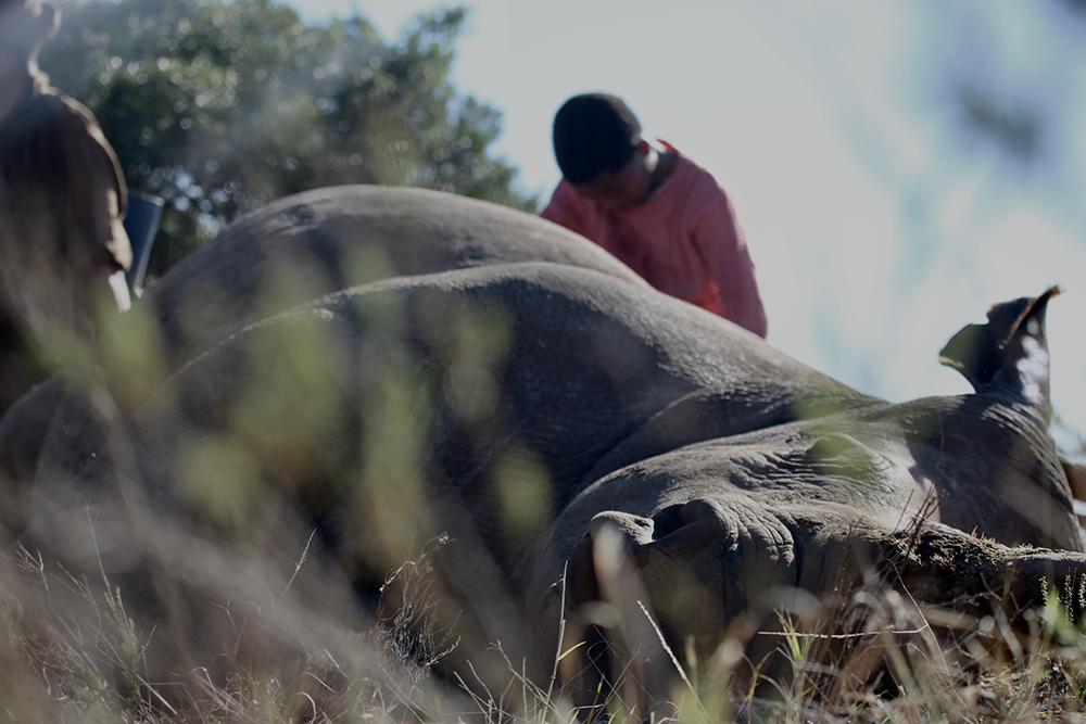Litha mourns Thandi_